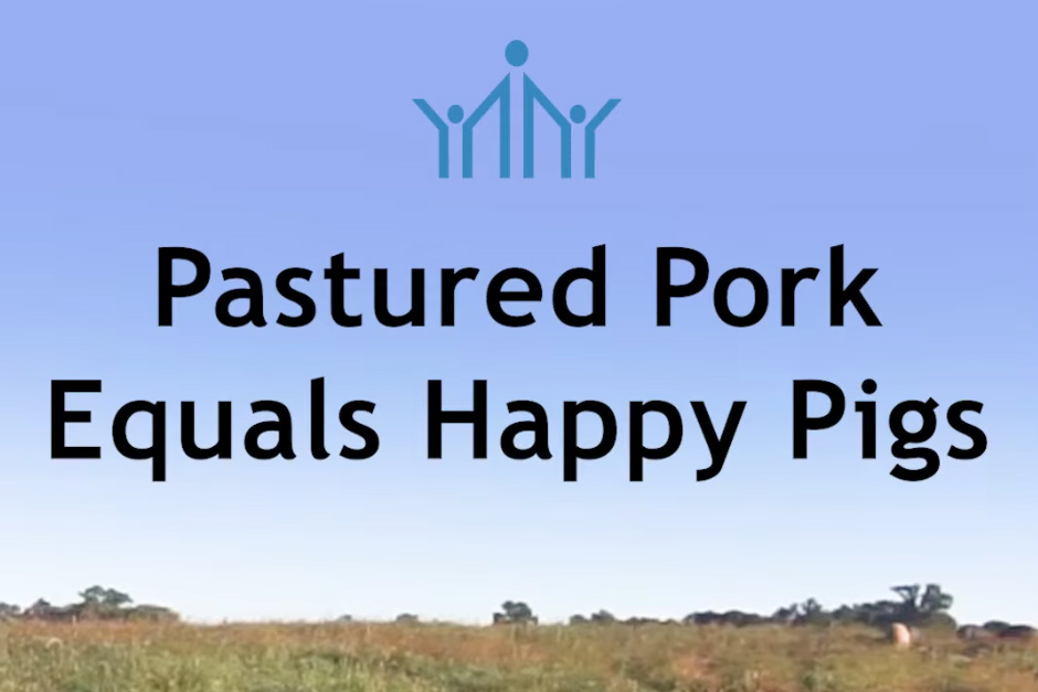 Pastured Pork Equals Happy Pigs | Wiseman Health 