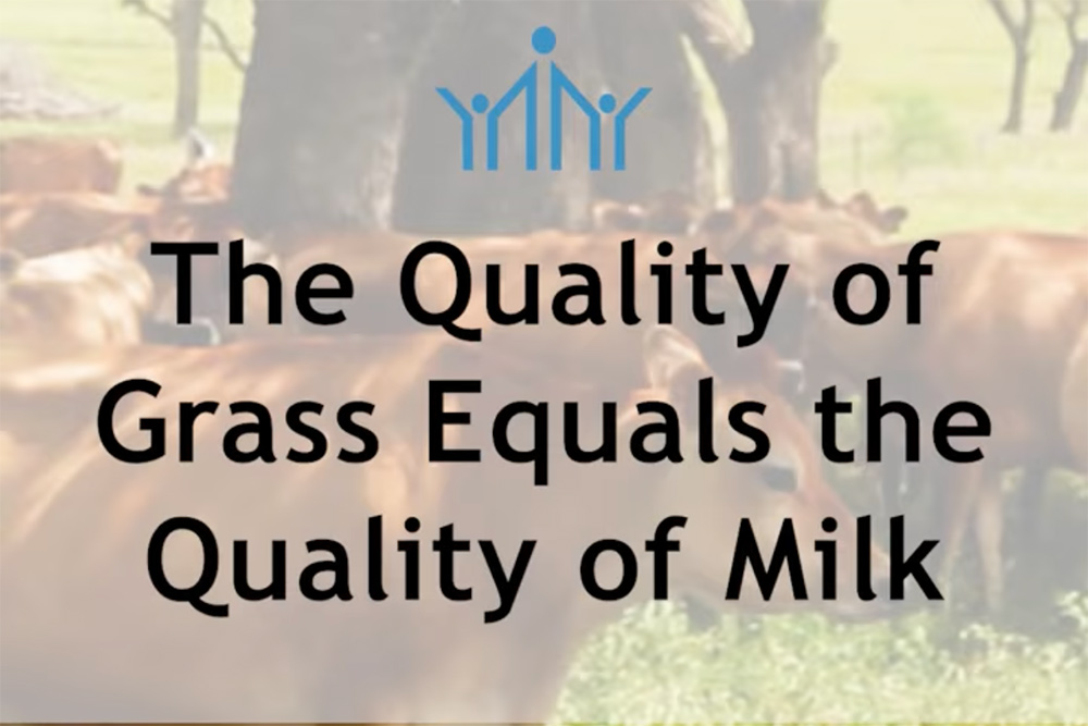 quality grass quality milk