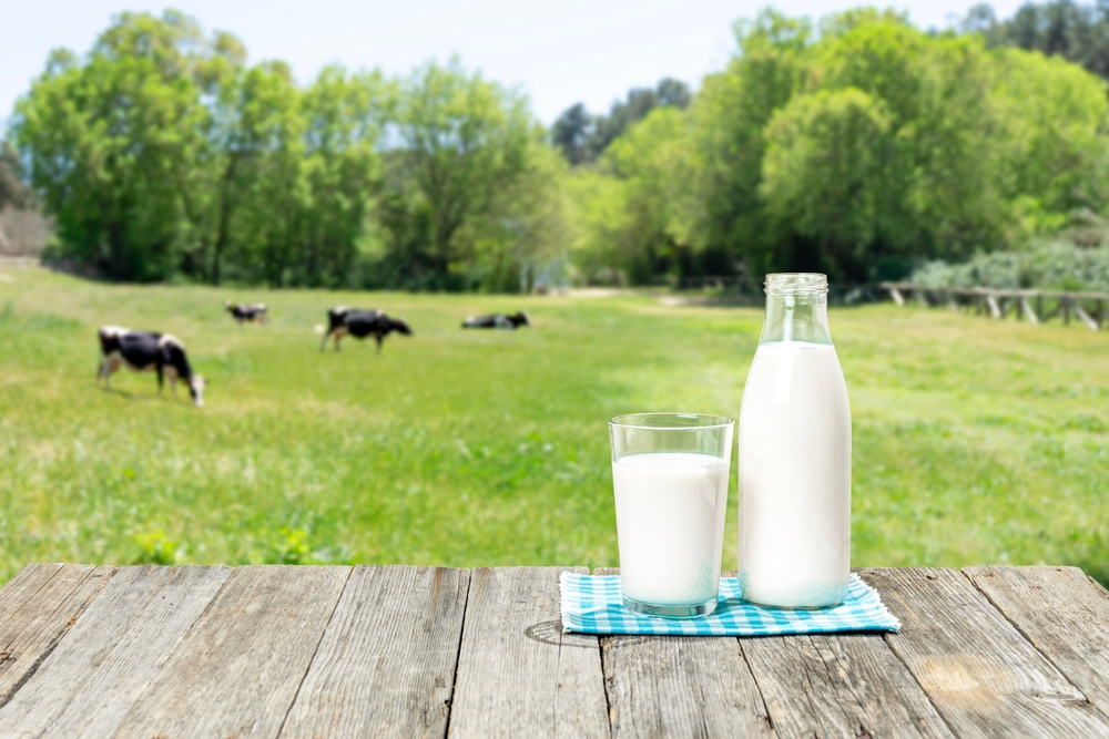 a,bottle,and,a,glass,of,fresh,milk,on,an